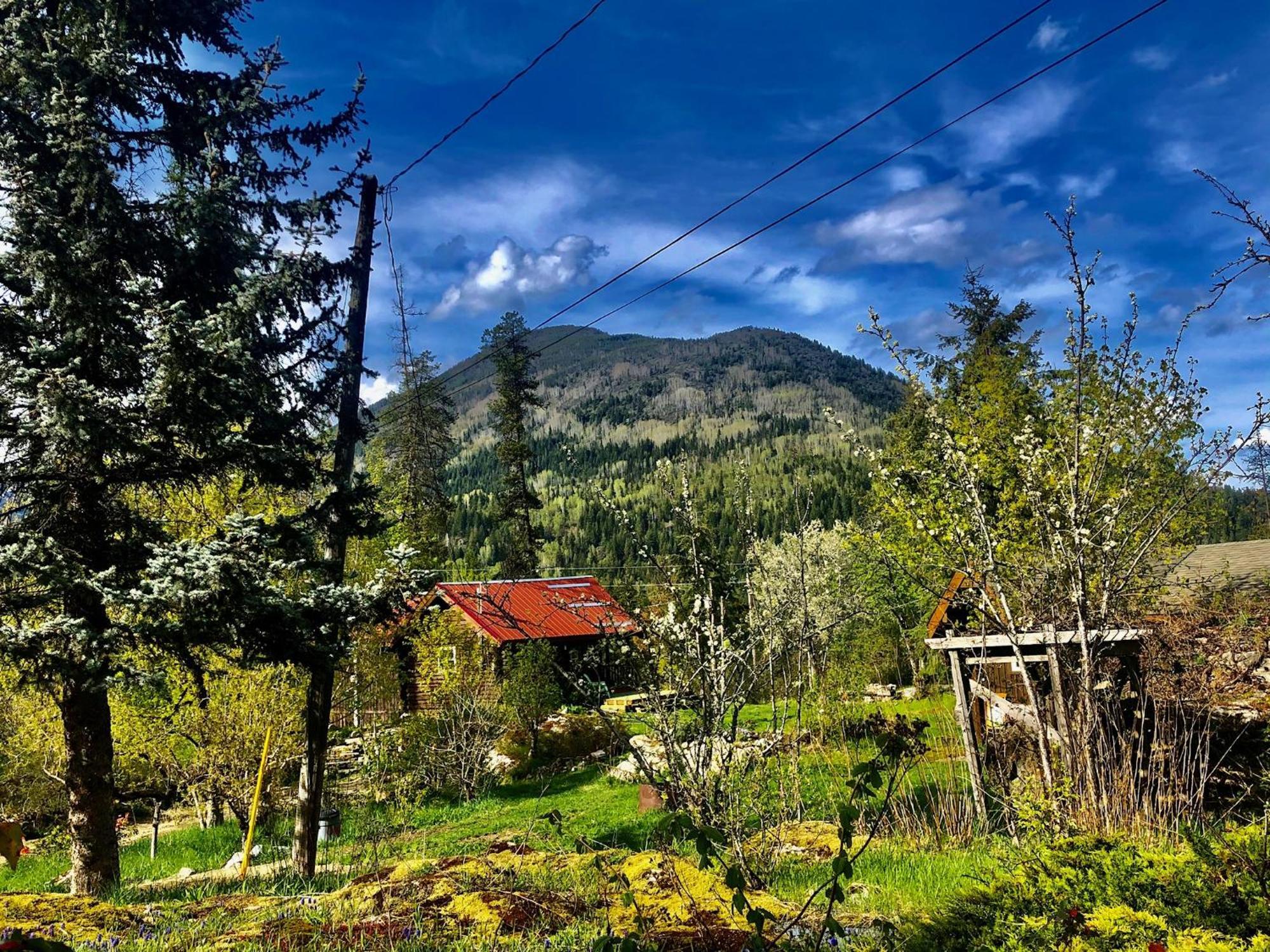 Morning Star Log Cabin เนลสัน ภายนอก รูปภาพ